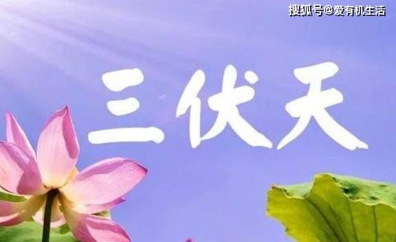 2024三伏天时间表，2024三伏天是几号到几号